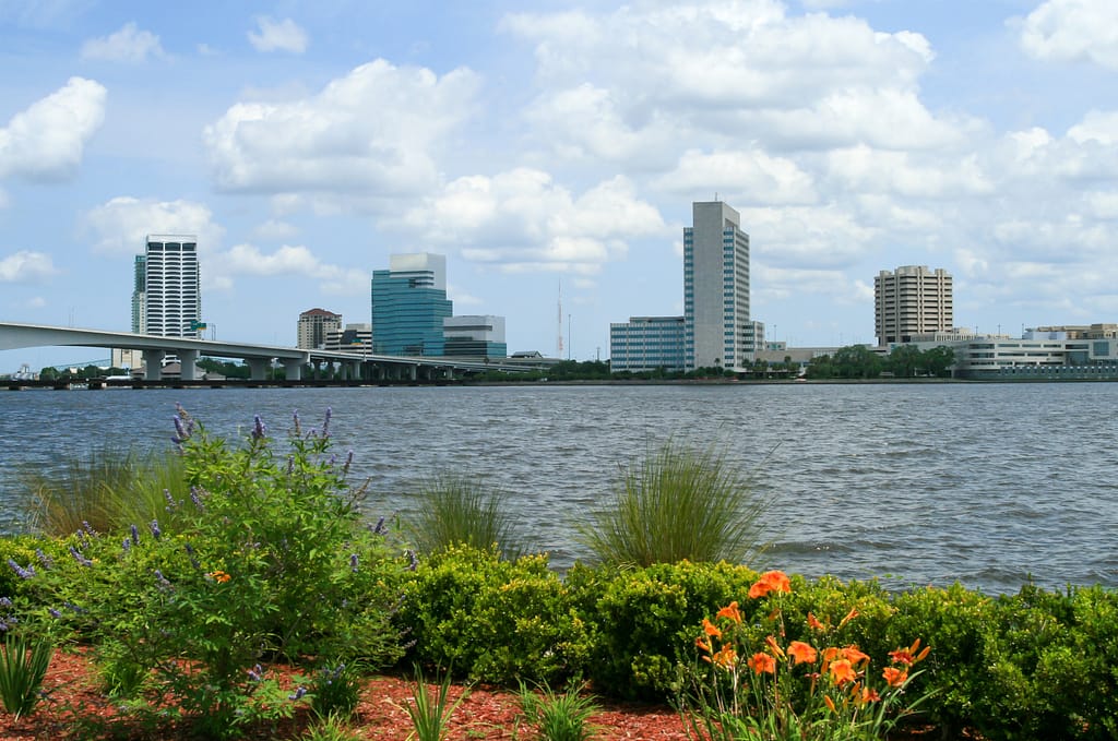 Flowers along the St Johns Riverwalk, Jacksonville, Florida