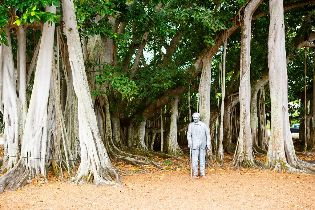 Thomas Edison statue, Fort Myers, Florida