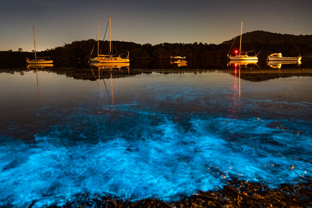 Bioluminescence glow in the bay