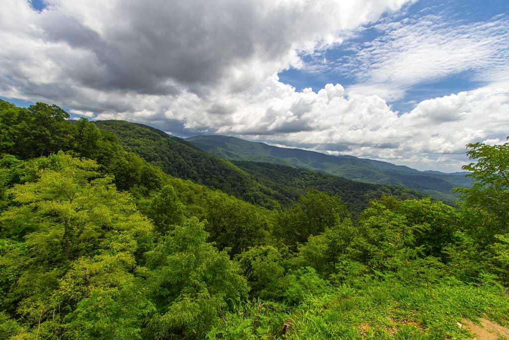 Cherohala Skyway