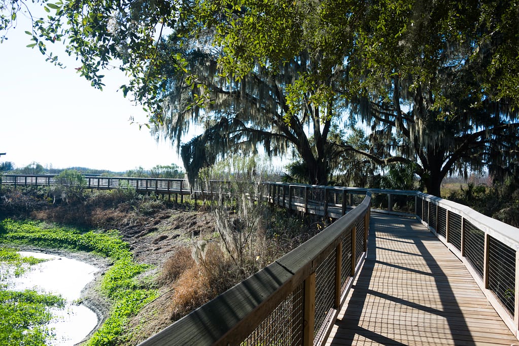 Boardwalk at Paynes Prairie State Park in Gainesville, Florida.