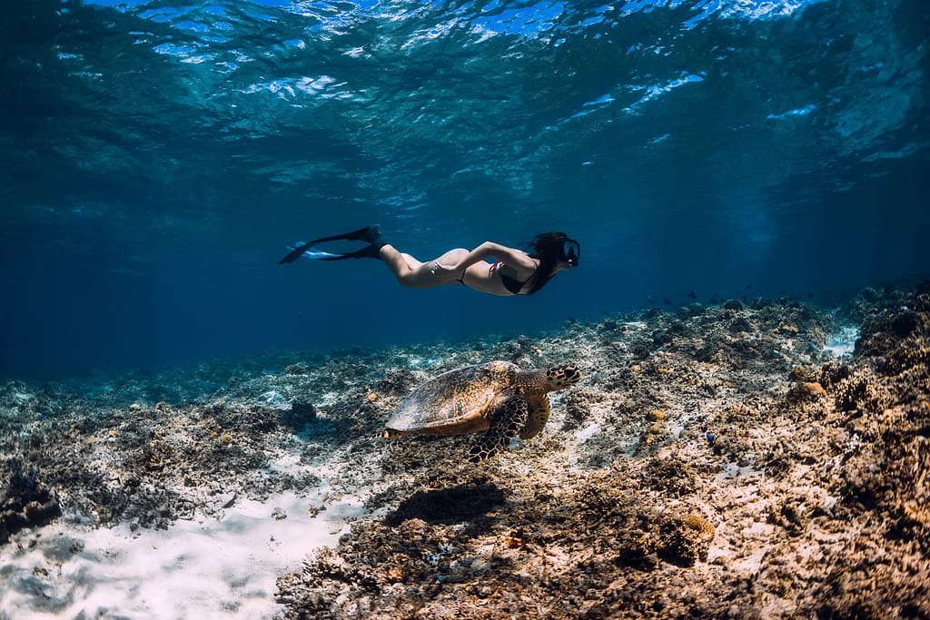 Gliding underwater with sea turtle.