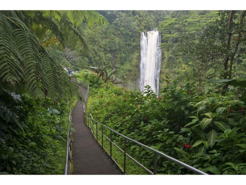 Akaka Falls State Park