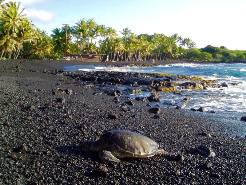 Walking Punaluu Black Sand Beach